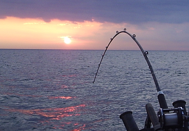 Sunset Family Fishing | Florida Cruises, Sightseeing and 